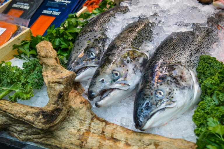 Island Essen und Trinken – frischer isländischer Lachs