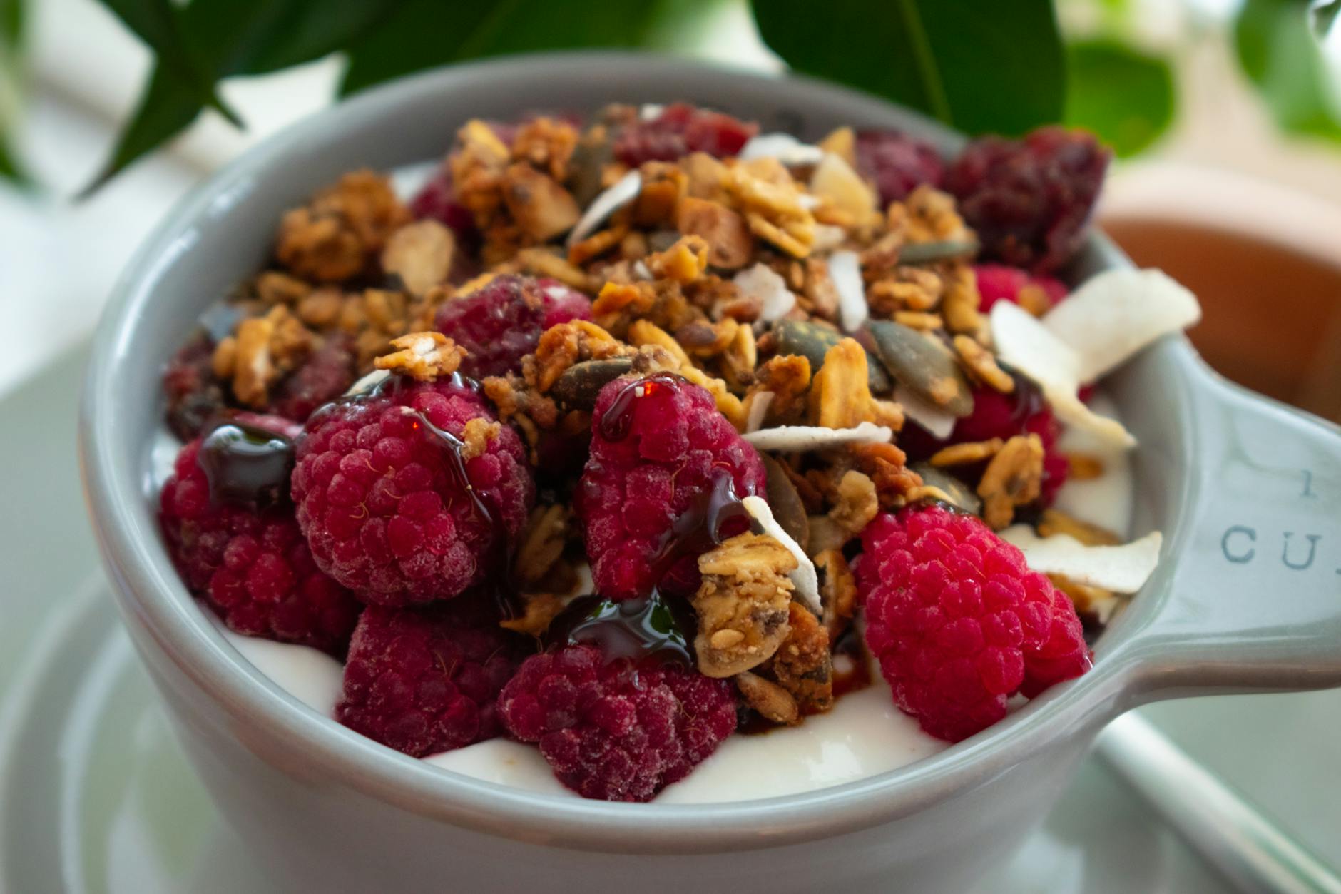 Island Essen und Trinken – Schale mit Skyr und Beeren