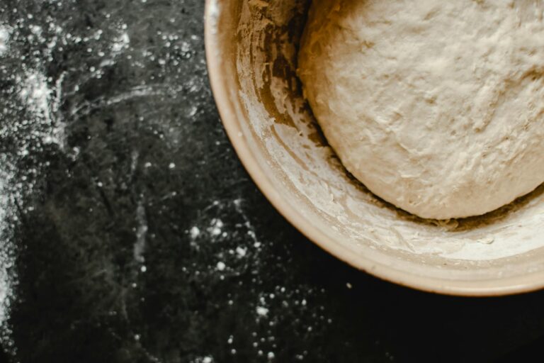 Pizzateig über Nacht – gereifter Pizzateig mit Bläschen in der Schüssel